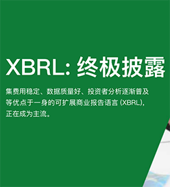 白皮書 – XBRL終極披露